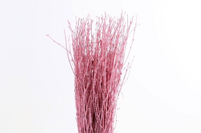 <h4>Berk Klb Pink</h4>