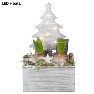 PTWH7752 Arrangement Winter Hyacint in houten pot