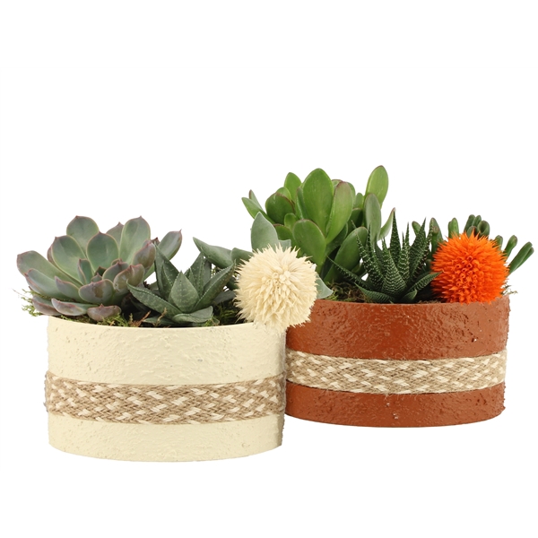 <h4>41565: Treasure time arrangement</h4>
