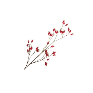 Rosehip Branch Red LV330156RED