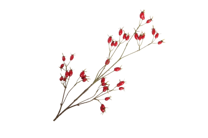 <h4>Rosehip Branch Red LV330156RED</h4>