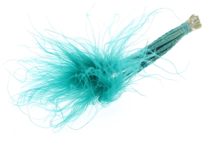 <h4>Stypha Penata 10 Tufts Per Bunch Turquoise</h4>