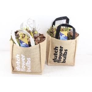 arr4 Bollenmix MB - Tas dutch bulbs XL mix