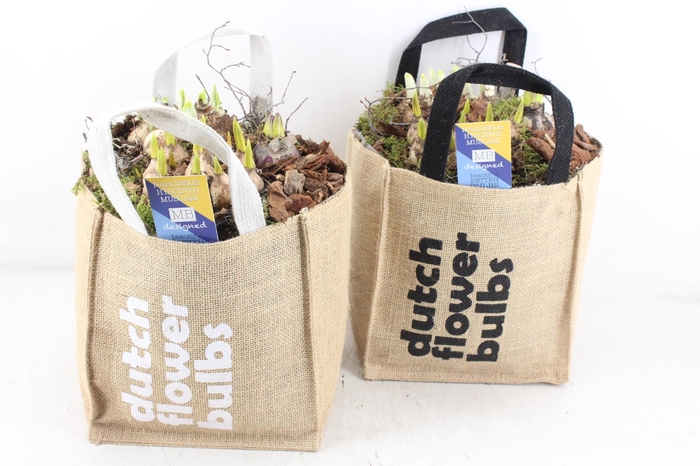 <h4>arr4 Bollenmix MB - Tas dutch bulbs XL mix</h4>