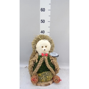 Decoratie  ..Vogelzaadfiguur  H%