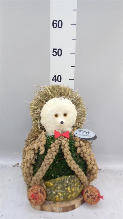 <h4>Decoratie  ..Vogelzaadfiguur  H%</h4>
