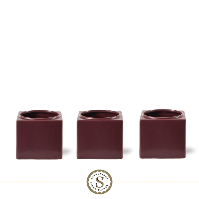 <h4>Creations) Belicia Keramiek Burgundy</h4>