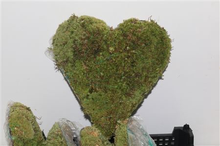 Bolmos Hart Staand Large