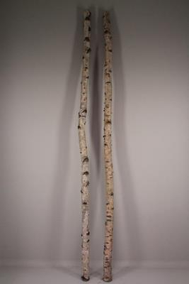 <h4>Birch Trunk 6-8cm 240cm</h4>