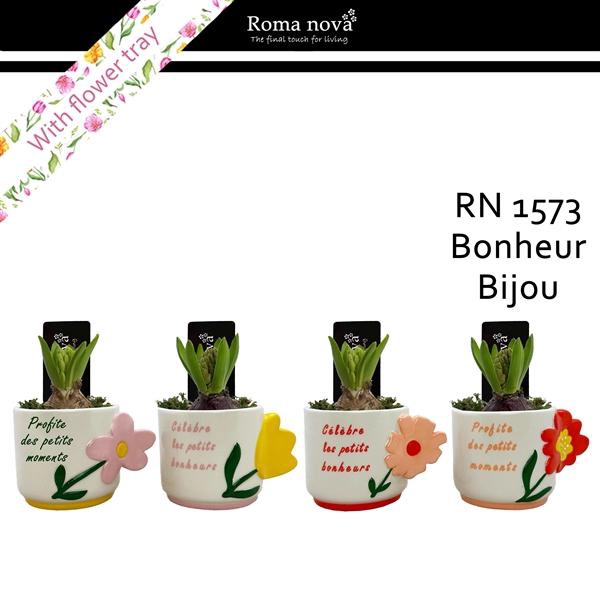 <h4>Arrangementen Hyacinthus 6%</h4>