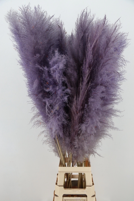 <h4>DROOGBL BEWERKT H%</h4>