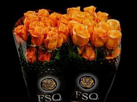 <h4>R Gr Capriccio</h4>