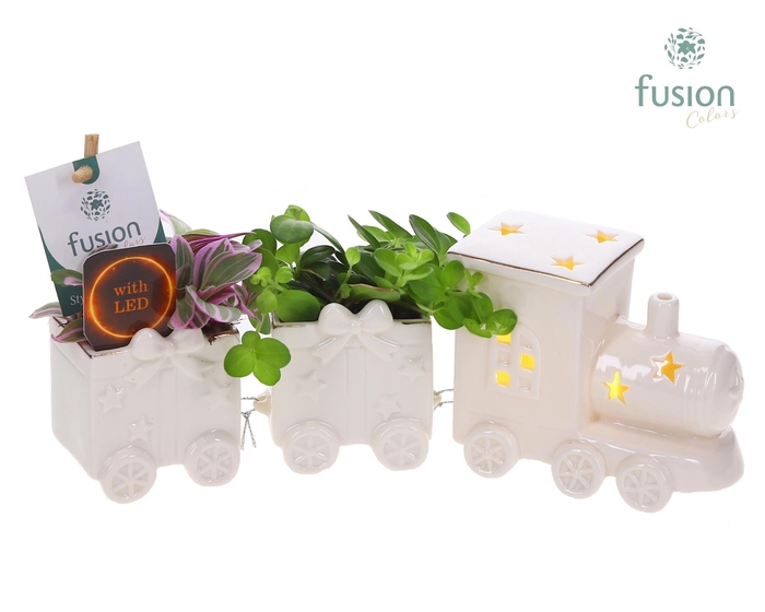 <h4>Keramiek LED Trein Small met Groenen planten</h4>