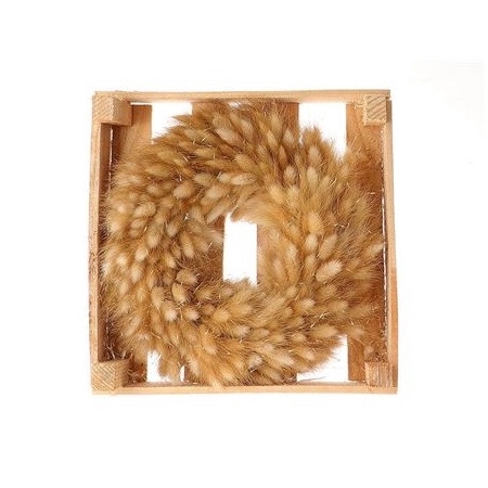 <h4>Wreath d30cm Lagurus</h4>