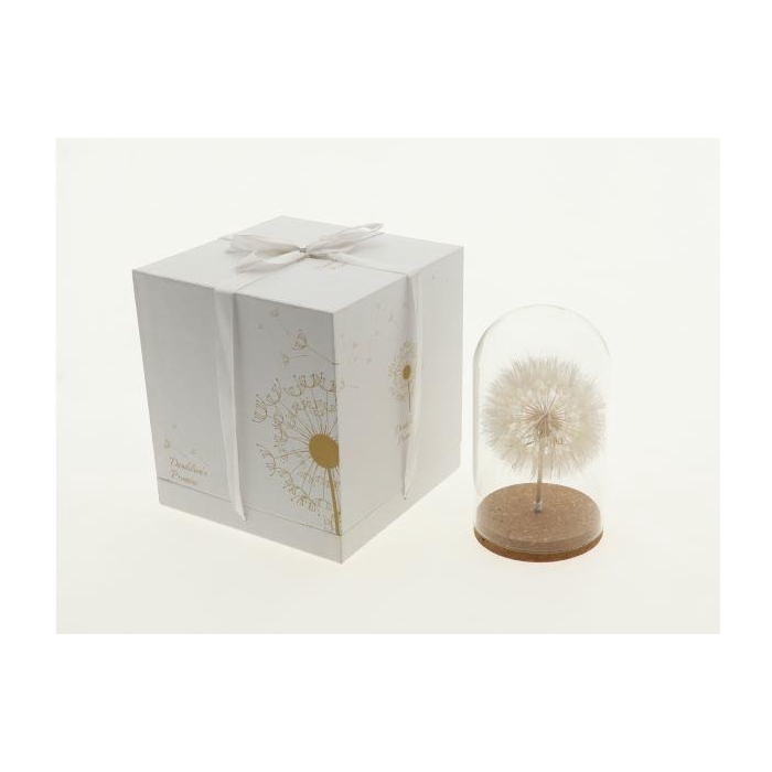 <h4>Bell Jar Dandelion Gift H22D12</h4>