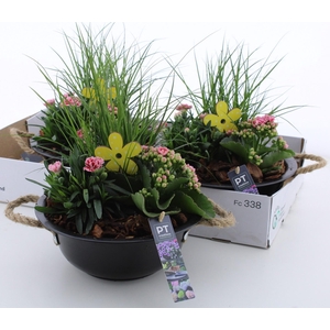 ARR TUINPLANTEN
