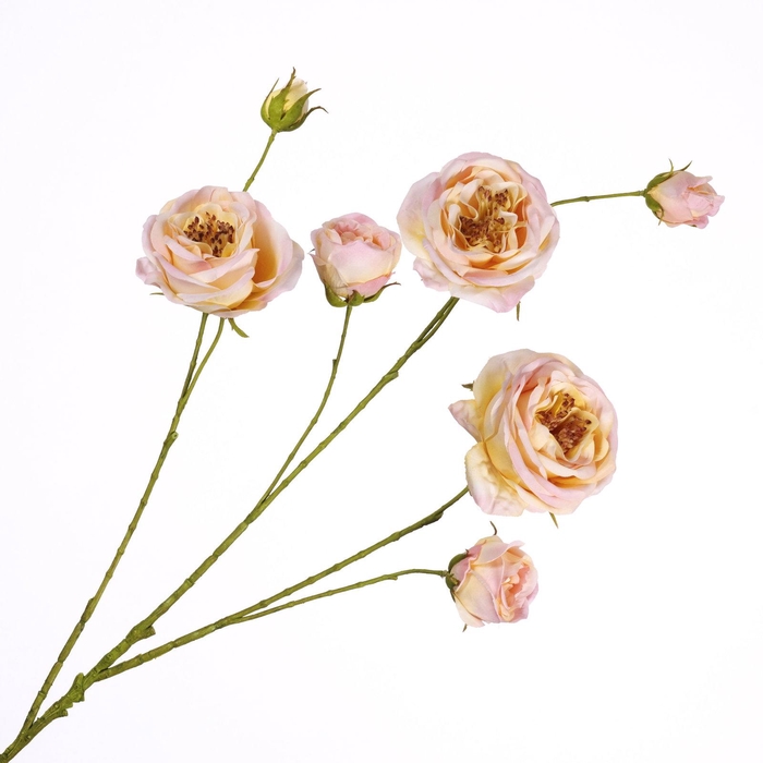 <h4>Rosa Spray Pink Light FL440343LPK</h4>