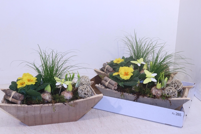 <h4>ARR TUINPLANTEN</h4>