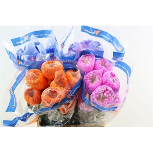 Chr G Kbh Tinted Mix