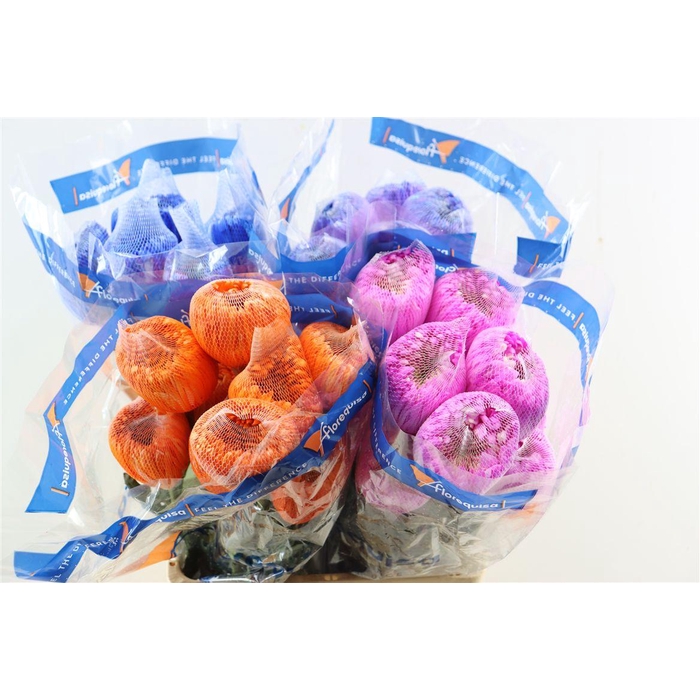 <h4>Chr G Kbh Tinted Mix</h4>