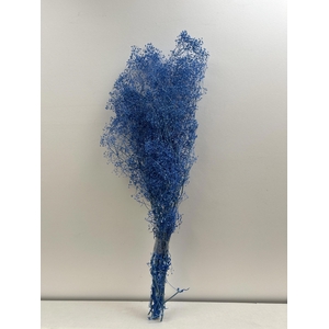 GESTABILISEERD GYPS MILLION STAR BLAUW