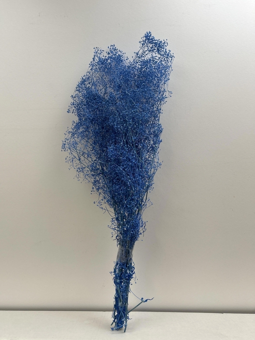 <h4>GESTABILISEERD GYPS MILLION STAR BLAUW</h4>