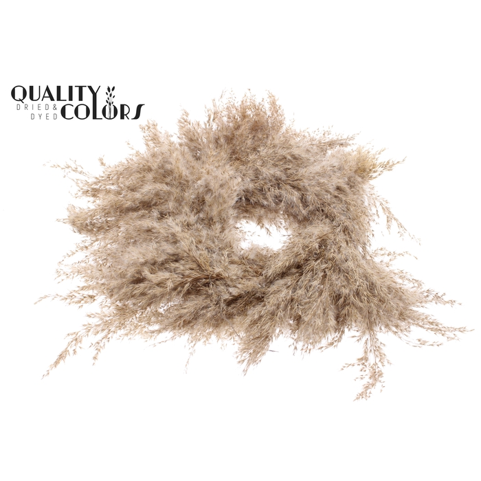 <h4>Pampas Wreath Large Ø 25cm Natural</h4>