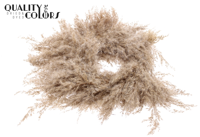 Pampas Wreath Large Ø 25cm Natural