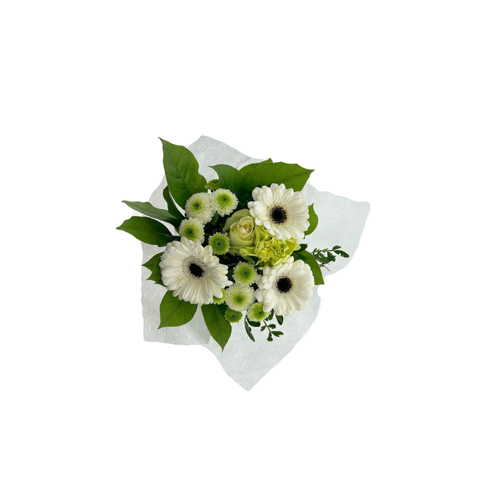 <h4>BQ Shorties White</h4>