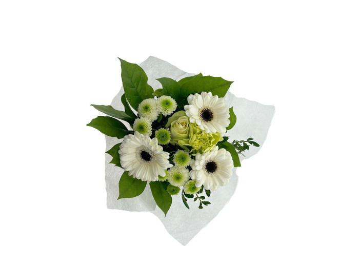 BQ Shorties White