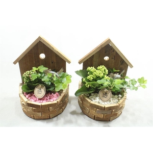 4751 HOUT VOGELHUIS IND