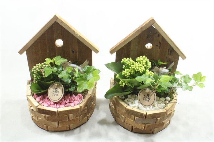 <h4>4751 HOUT VOGELHUIS IND</h4>