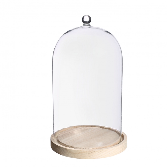 <h4>Glas Stolp knop+hout d15/17*28cm</h4>