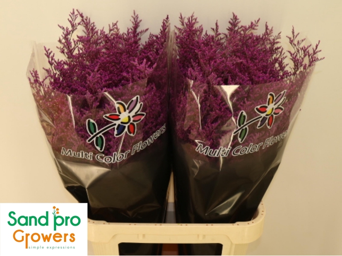 <h4>LIM OV KLB H%</h4>