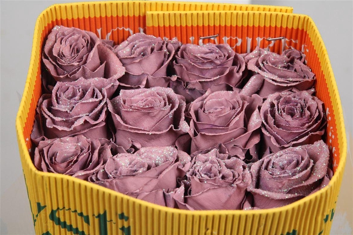 <h4>R Gr Blush Ec</h4>