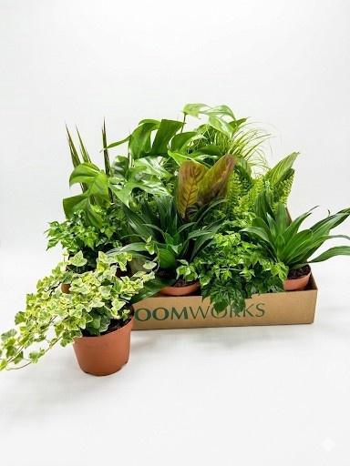 <h4>KAMERPL GEM OV</h4>