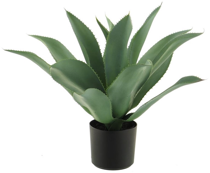 <h4>Agave in pot green 43cm</h4>