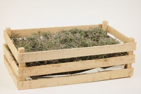 <h4>CRATE IRON BUSH</h4>