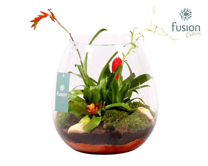 <h4>Green Bottle Abby Large met Bromelia</h4>