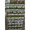 Osteo Mixk 1 Klr Per Tray