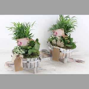 arr2 TD - Hout kar v2 - roze