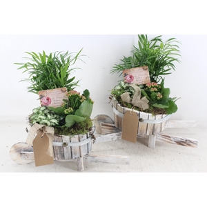 arr2 TD - Hout kar v2 - roze