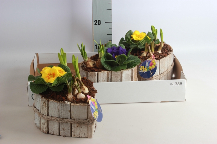 <h4>ARR TUINPLANTEN</h4>