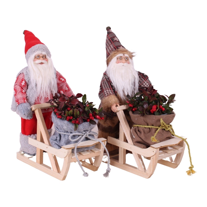 <h4>Arr Tuinplanten H%</h4>