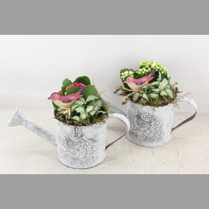 arr2 TD - Zink gieter - roze/wit