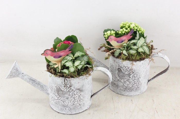 <h4>arr2 TD - Zink gieter - roze/wit</h4>