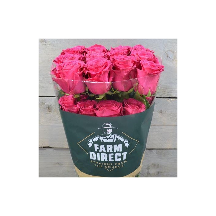 <h4>R Gr Full Monty</h4>