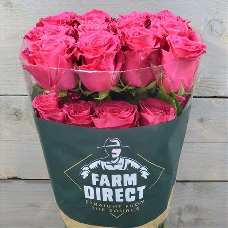 <h4>R Gr Full Monty</h4>