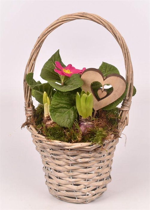 <h4>Wilg hengselmand gy 17cm</h4>