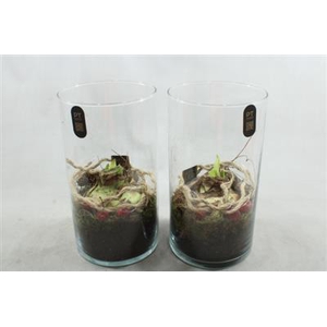 2905 XL AMAR HOOG GLAS+LED